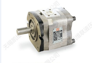 内齿轮泵 凯维联 IGH KWL