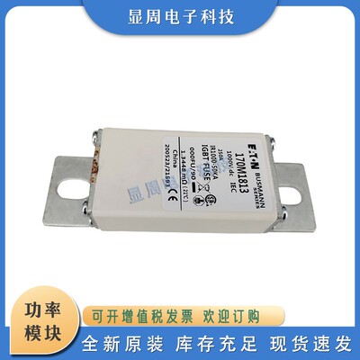 全新熔断器170M1811 1812 1813  1824 1825 1826 1827 1828 1829