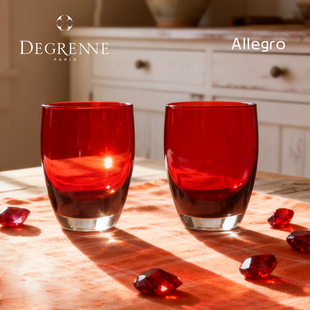 法国Degrenne Paris霓裳红宝石洋酒威士忌平底玻璃酒杯结婚礼物