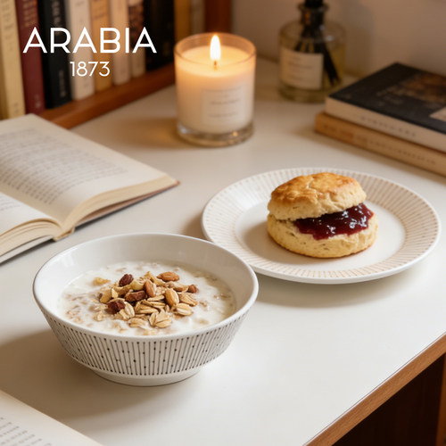 芬兰Arabia迈尼奥系列家用米饭碗陶瓷高颜值沙拉碗北欧风ins餐碗