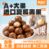 戴永红夏威夷果奶香味坚果A 大果坚果炒货孕妇健康早餐零食过年货