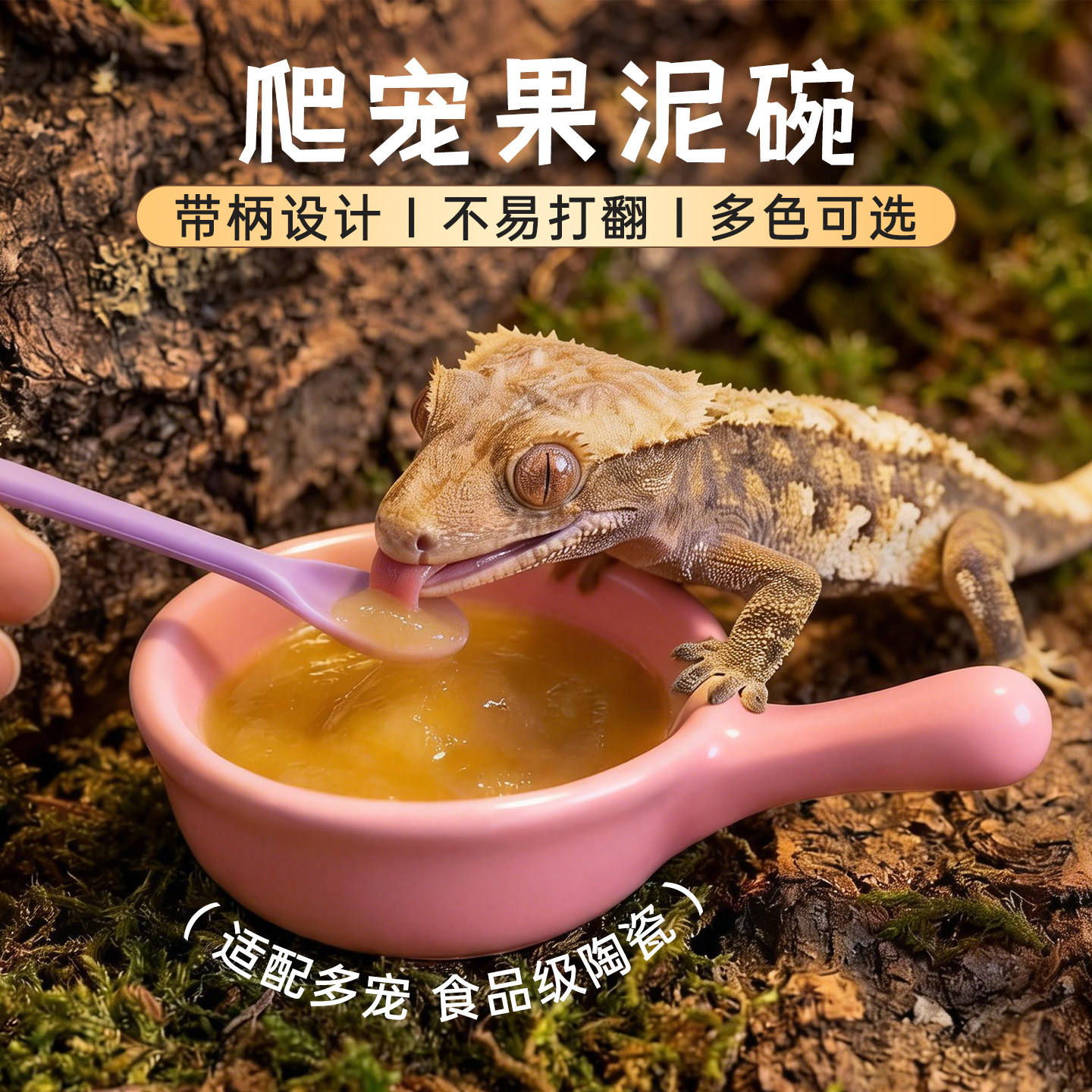 守宫食盆爬宠果泥水盆陶瓷防打翻乌龟蜥蜴寄居蟹睫角搅拌喂食碗勺