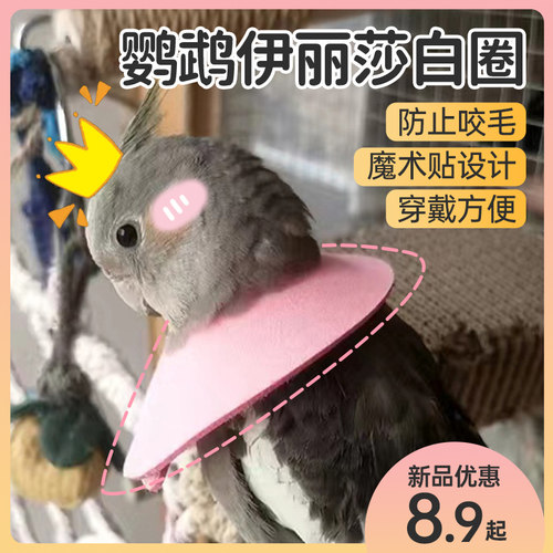 鸟用伊丽莎圈白玄凤受伤保护项圈牡丹虎皮鹦鹉防咬头套防啄毛脖套