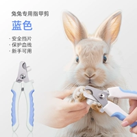 Синий (для кроликов, специальные | новички дружественны)