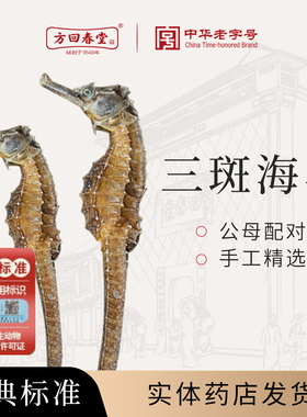 方回春堂三斑海马干货中药饮片泡原料公母一对中药功效药材大配对