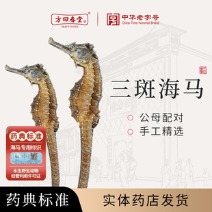 方回春堂三斑海马干货中药饮片泡原料公母一对中药功效药材大配对