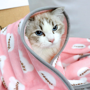 小被子狗狗专用盖毯 宠物法兰绒毯子猫咪睡觉用毛毯猫毯珊瑚绒