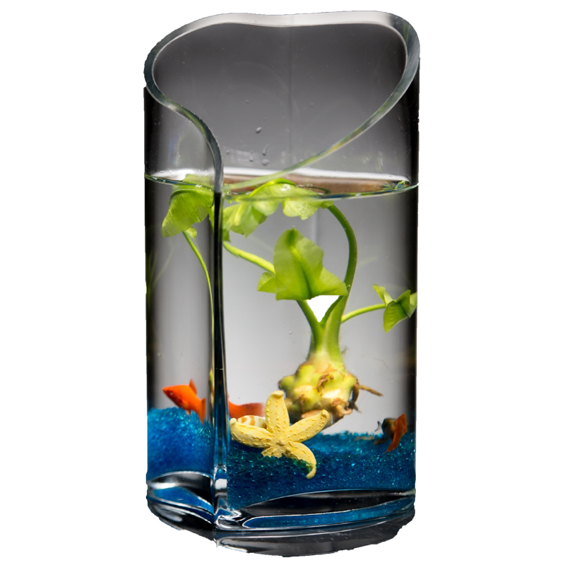 鱼缸客厅小型玻璃金鱼缸桌面迷你水族箱创意心形水族箱造景斗鱼缸