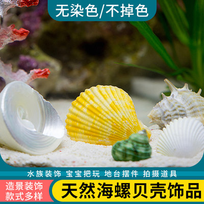 海星玻璃地台儿童手工diy摆件