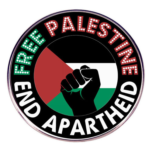 自由巴勒斯坦胸针保卫巴勒斯坦别针胸章金属合金徽章配饰