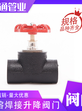 pe给水管开关升降截止阀热熔焊接阀门pe管件pe管接头自来水管配件