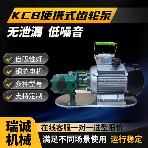 新款WCB手提式齿轮油泵便捷式抽油泵220v两相/380V三相柴油煤包邮