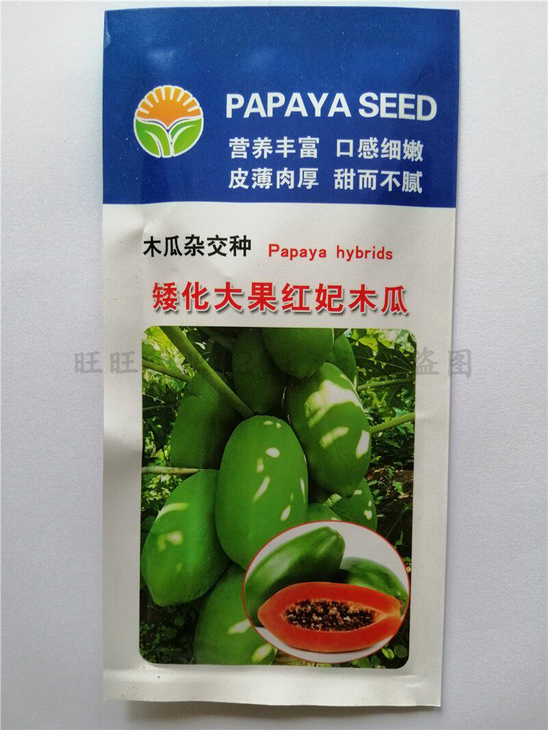 台湾红肉木瓜种子大白木瓜苗超级甜品种进口苗种大青红心可盆栽种