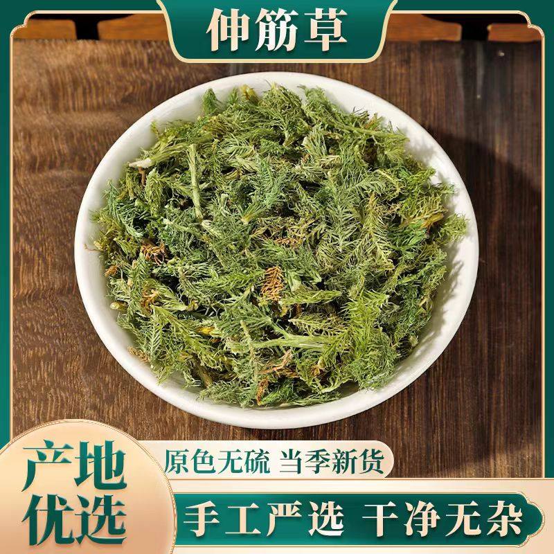 云南野生中药材伸筋草 筋骨草 舒筋草石松狮子 500g包,传统滋补营养品,其他药食同源食品,淘宝优惠券,粉丝福利购,淘宝优惠卷