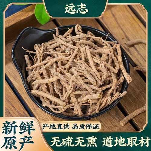 正品远志野生远志肉中药材
