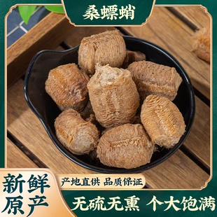正品桑螵蛸中药材桑膘销桑膘硝桑飘蛸野生螳螂子螳螂卵鞘巢刀螂子
