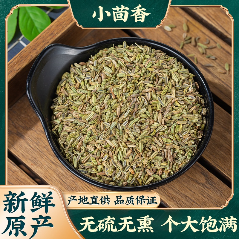 无甘肃小茴香新货小茴香