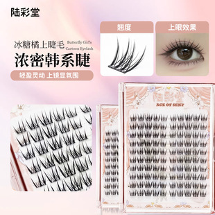 冰糖桔假睫毛懒人10排大容量自然妈生感淡颜系空气感上镜自然睫毛