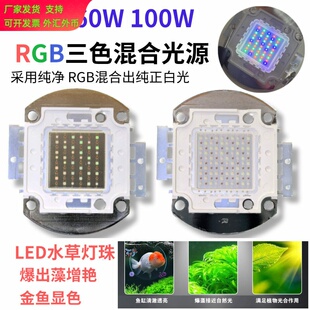 50W60W70W 100W增艳水族灯光源灯珠 鱼缸水草LED海水 龙鱼珊瑚灯