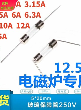 电磁炉家用配件保险管250V 10A 12.5A 15A 20A 带引线保险丝5*20m