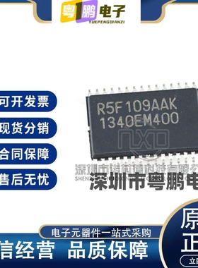 R5F109AAKSP R5F109AAKSP#X0  贴片SSOP30 汽车车载芯片 原装正品