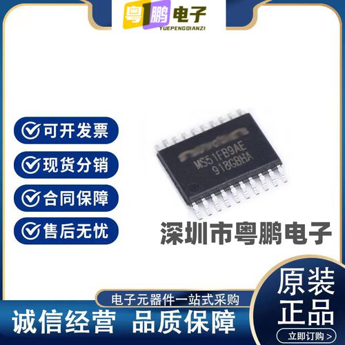 MS51FB9AE-T MS51FB9 TSSOP20单片机(MCU/MPU/SOC) 原装正品 现货