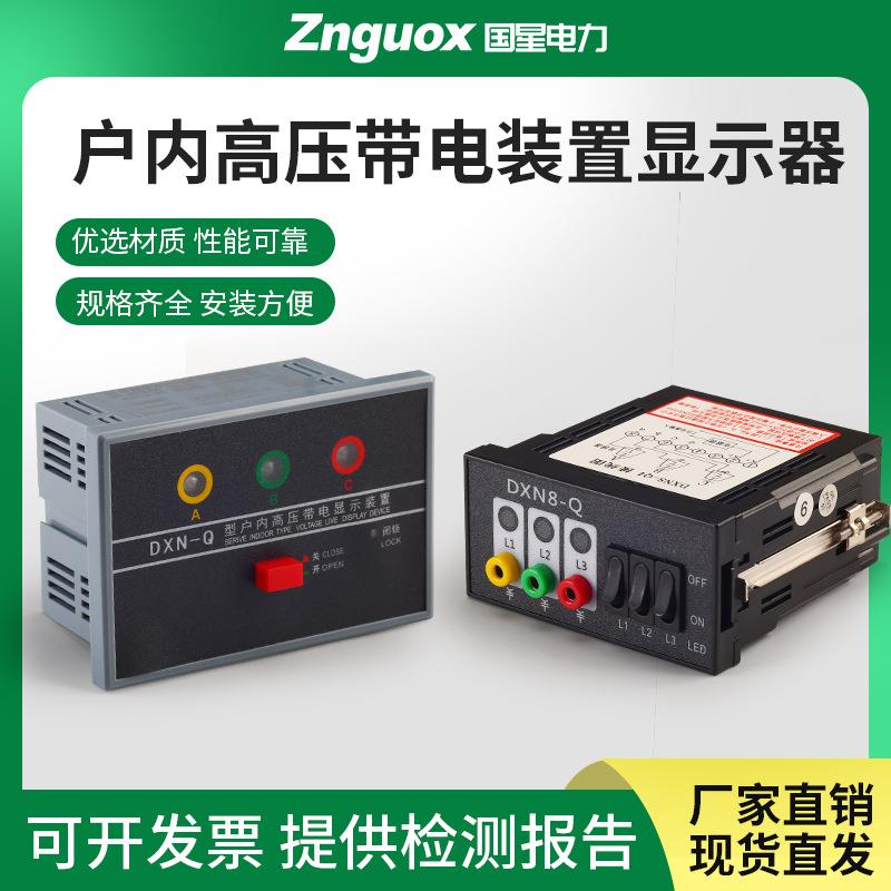 户内高压10KV带电显示器CG5-10Q闭锁装置DXN-T核相DXN8D-Q自检L-6