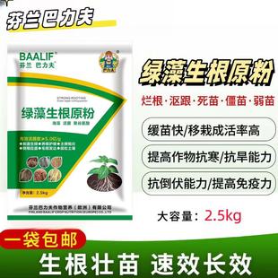 绿澡生根粉正品 快速生根壮苗厂家直销蔬菜果树苗木通用生根粉加菌