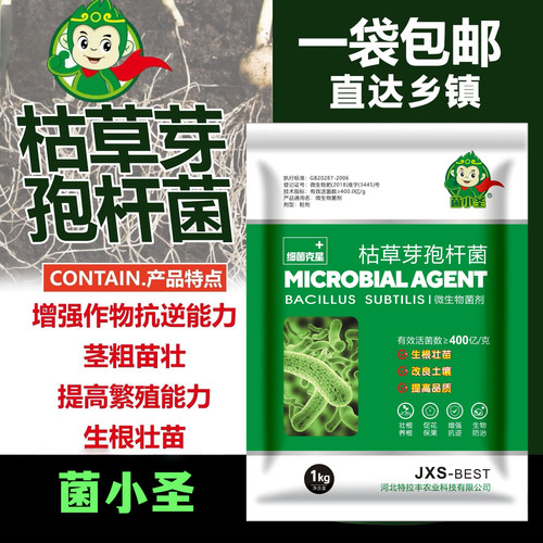 400亿/克调理改良枯草芽孢杆菌