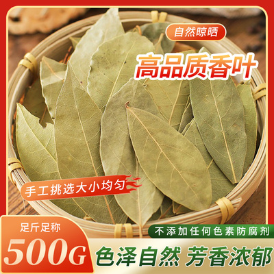 真正绿香叶500克/200g/100g 月桂叶干货调料