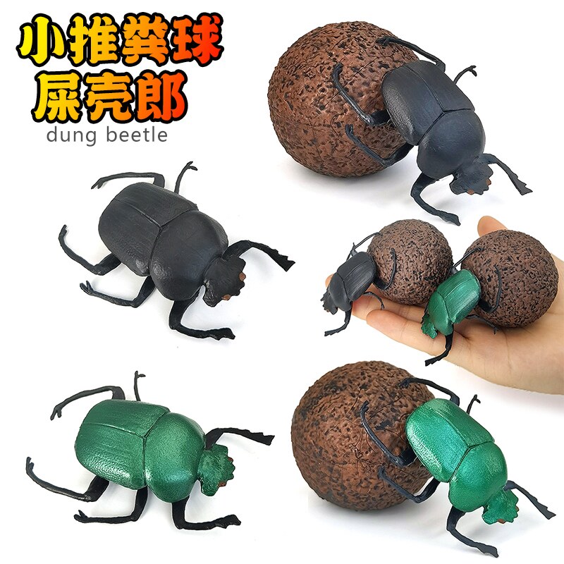 仿真动物昆虫圣甲虫推粪球屎壳郎模型蜜蜂蜈蚣玩具儿童教育认知