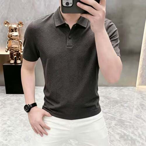 轻奢休闲老钱风翻领POLO衫男夏季短袖修身商务休闲百搭透气上衣a9