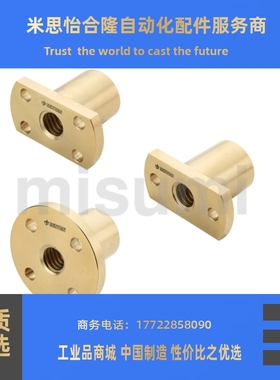 C-MTSCRC25/C-MTSPFRC22/MTSCR25/MTSPFL25/30度梯型丝杠用螺帽