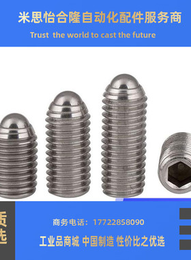 不锈钢轻载型球头柱塞 BSM3/4/5/6/8/10/12/16