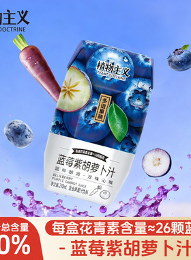 植物主义蓝莓紫胡萝卜汁金钻凤梨汁羽衣甘蓝汁整箱饮料210ml*12瓶