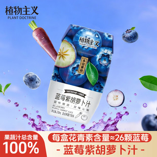 植物主义蓝莓紫胡萝卜汁金钻凤梨汁羽衣甘蓝汁整箱饮料210ml*12瓶