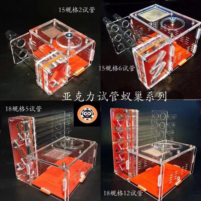 蚂蚁别墅 蚂蚁巢 试管巢 蚂蚁工坊 蚂蚁城堡 蚂蚁宠物 亚克力巢图片