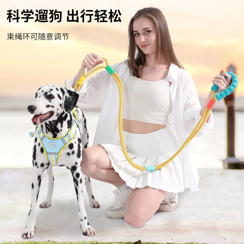 多巴胺配色宠物牵引绳狗