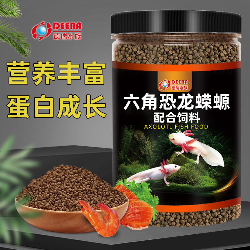 东方蝾螈沉底小颗粒六角恐龙鱼