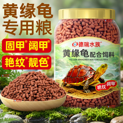 德瑞黄缘闭壳龟专用发色幼龟粮