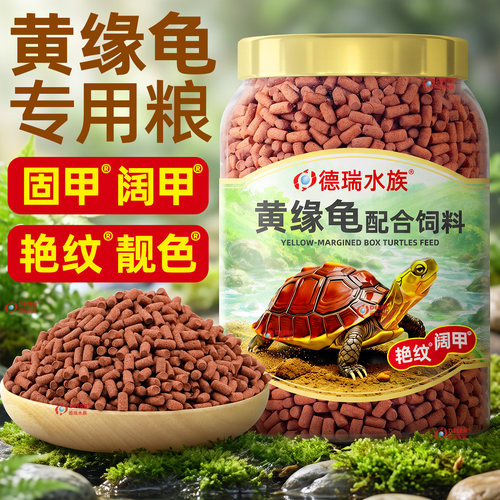 德瑞黄缘闭壳龟专用发色幼龟粮