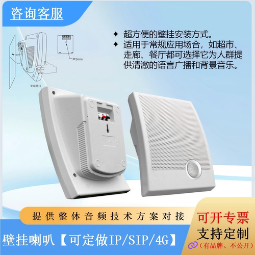 IP/SIP/4G壁挂喇叭公共广播超方便安装语音广播背景音乐10W