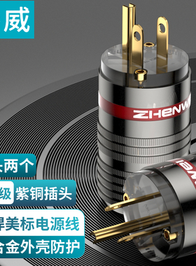 臻威(ZHENWEI)免焊美标音响电源线公头（两个装）