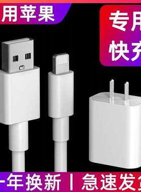 适用苹果iPad第8/7/6/5/4代平板快充数据线闪充Apple新款充电器线安全不伤机ioad爱拍车载加长2mse3原正装品