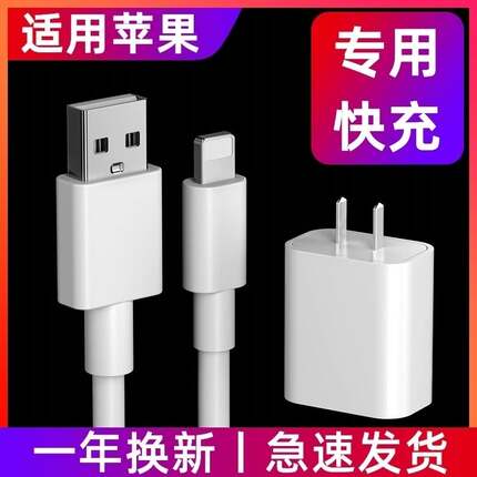 适用苹果iPad第8/7/6/5/4代平板快充数据线闪充Apple新款充电器线安全不伤机ioad爱拍车载加长2mse3原正装品