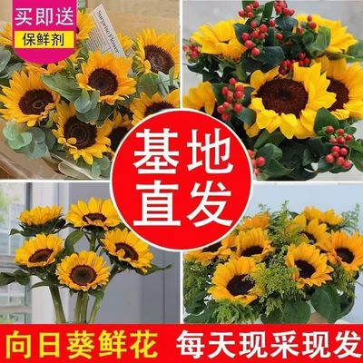 真花向日葵鲜花花束送人太阳花云南基地批发家用办公室摆设水养