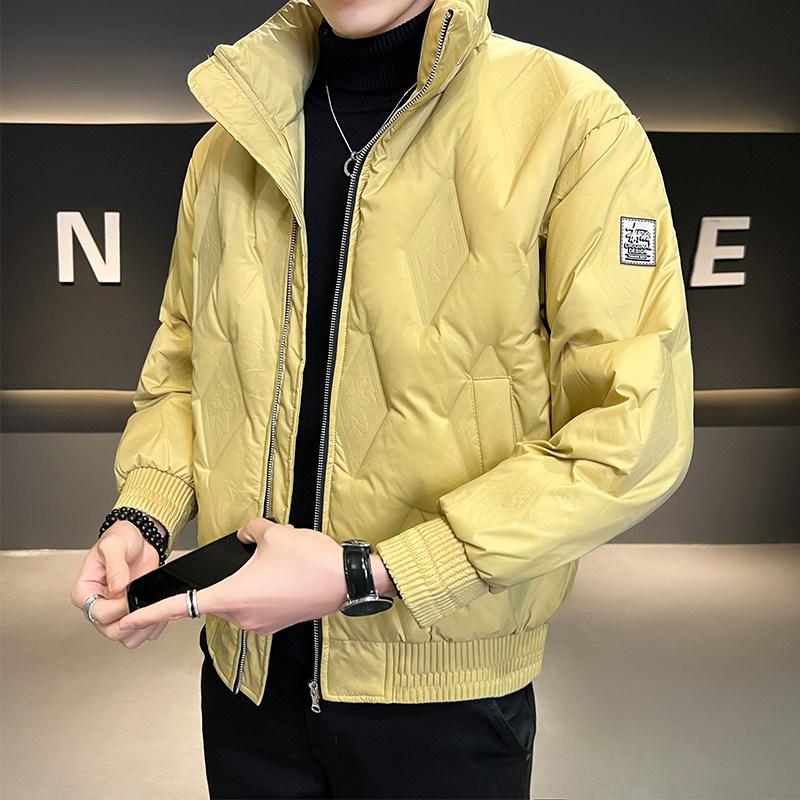 B255-F1813-P185店主风简约百搭商务高品质立领羽绒服外套男,男装羽绒服,电商B255