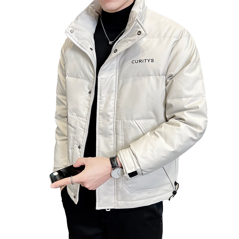 B255-5505-P1852022冬季新款男士简约百搭立领店主风皮羽绒服男,男装羽绒服,电商B255