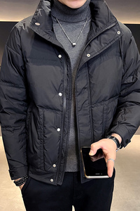 B255-001-P175-控248  80白鸭绒 店主风新款男士简约羽绒服男图片