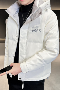B255-8852-P175 2022冬季新款店主风连帽羽绒服休闲高品质外套男图片